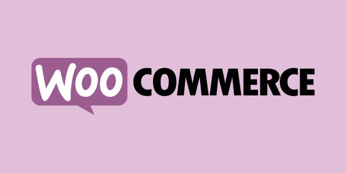 WooCommerce Sync for NexoPOS